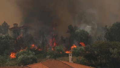 Опустошение и паника: Огненото бедствие в Гърция се разраства