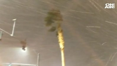 Лас Вегас е в пълен хаос след снеговалеж и буреносен вятър