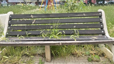 Детска площадка в София: Избуяла трева, пясъчникът е тоалетна за животни