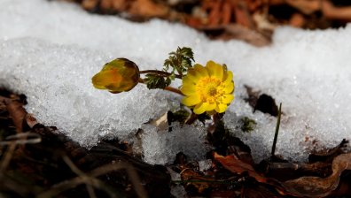 Посрещаме пролетта, но температурите остават ниски