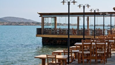 Пролет през февруари: Крайбрежните капани посрещнаха десетки гости 