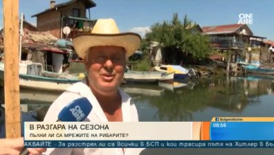 Черно море "завряло" от сафрид - пак фалшива новина!