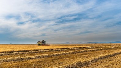 Другата българска гордост - полезащитните пояси на Добруджа 