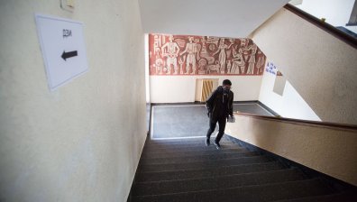 БАБХ спря 47 кг и 313,5 л негодни храни в училищните столове