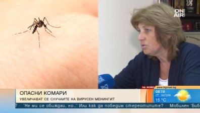 Опасни комари разнасят вирусен менингит 