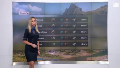 Централна прогноза