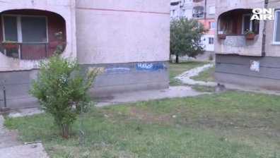 Мъртво новорoдeно бе открито пред блок в Перник