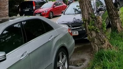 При всяка буря тополи опитват да влязат в жилищен блок в столичния "Лозенец"