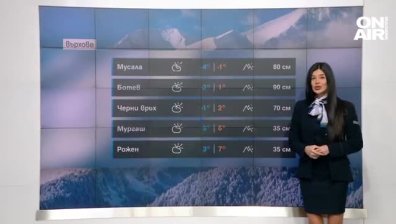 Централна прогноза