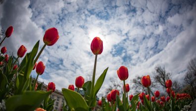 Топъл петък с разкъсана облачност и слаб вятър