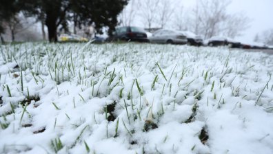 Обилен сняг вали в Родопите, шофьорите да внимават на прохода "Превала"