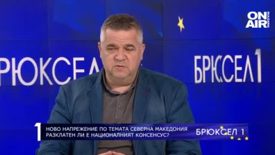 Спас Ташев: Българите трябва да бъдат вписани в конституцията преди да оттеглим ветото