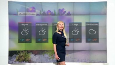 Сутрешна прогноза