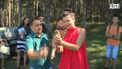 Редки птици полетяха в небето над Кремиковския манастир
