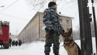 Касапница в Перм: 12 ученици и един учител са ранени след бой с ножове