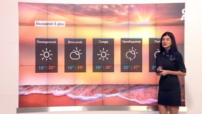 Централна прогноза