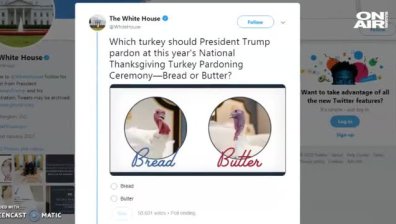 Необичайна анкета: Коя пуйка е по-достойна за президентското помилване?