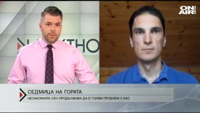 550 сигнала за незаконна сеч и пожари в горите