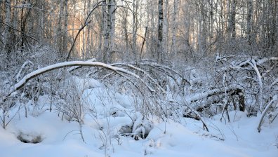 Зимно завръщане с минусови температури - най-студено в Разград
