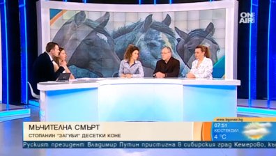 Прокуратурата се заема с жестокия случай на измрелите от глад коне