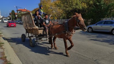 В София вече е забранено движението на каруци по улиците