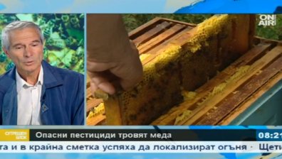 Бунт на пчеларите, опасни пестициди тровят меда