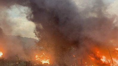 МЗ с важни съвети как да се предпазим при пожар и замърсен въздух