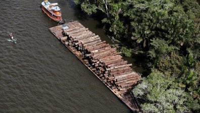 Учени: Сечта в Амазония се е увеличила с 30% за последната година 