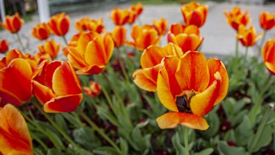 Времето днес: Предимно слънчево с температури до 23 градуса