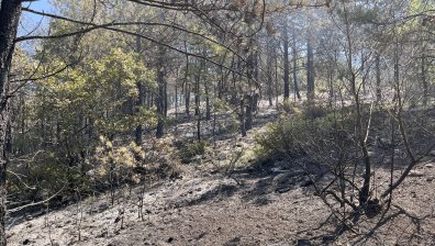 Пожарът край село Илинденци обхвана 400 дка (+ВИДЕО)