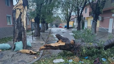 Кризисният щаб във Варна: Не излизайте! Затворете врати и прозорци