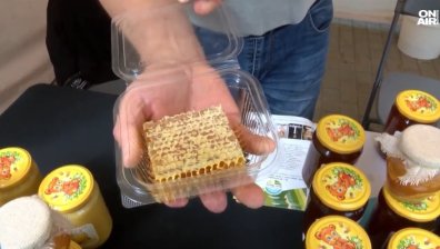 Био фестът във Велико Търново с богата селекция от уникални продукти (ВИДЕО)