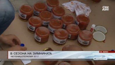 Лютеницотерапия в село Пожарево