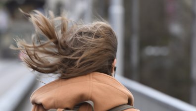 Силен вятър в столицата, общината с предупреждение към гражданите
