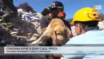 Спасиха куче, прекарало 9 дни под руините в Италия