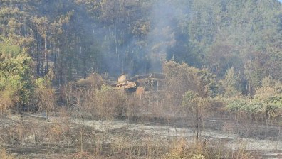 Пожарът край Казанлък унищожи постройки и 55 дка борова гора, евакуирани са 4-ма души