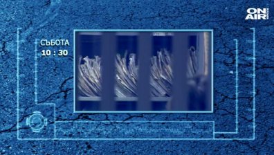 Нови права за длъжниците