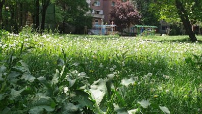 Спортни игрища, детски площадки - занемарени, потънали в трева