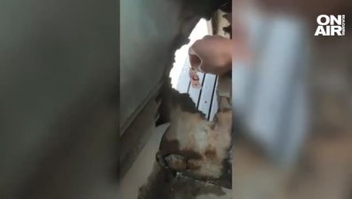 Изгнила дупка в автобус разкри криза в градския транспорт: Докато се возиш, камъчета се удрят в тавана