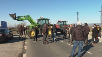 Животновъди: Защо избиват здрави стада, а болните животни остават?