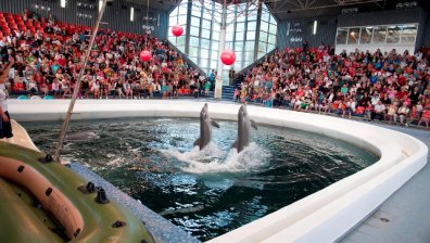 Безплатни представления за децата в Делфинариума във Варна за 1 юни