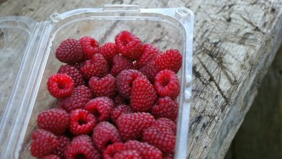 Добра идея ли е да съхраняваме храна в пластмасови съдове?