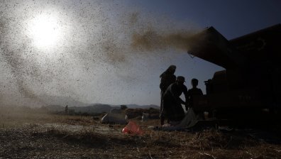 Говорителят на МВнР на Украйна: Не сме давали нови гаранции по сделката за зърното