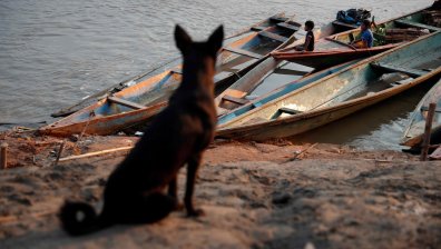 Рекордно ниско ниво на река Амазонка, плавателните съдове засядат