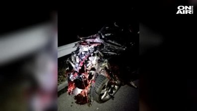 11 диви прасенца причиниха тежка катастрофа на "Тракия"
