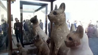 Уникална колекция с мумии на животни показват в Египет