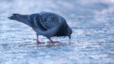 Облаци и дъжд в края на седмицата, в планините ще е снежно и ветровито