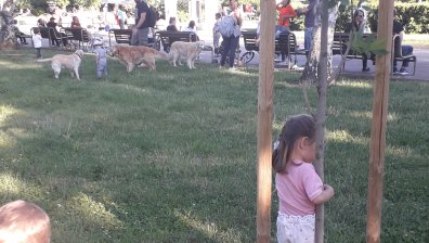 От Helpbook: Парк Заимов се е превърнал в кучешки, страх ме е за децата 