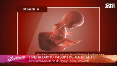 Салвадор Дали и неговият...мравояд! 