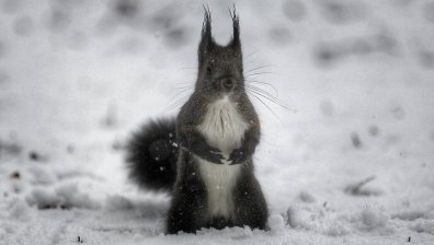 6 см сняг натрупа на Витоша